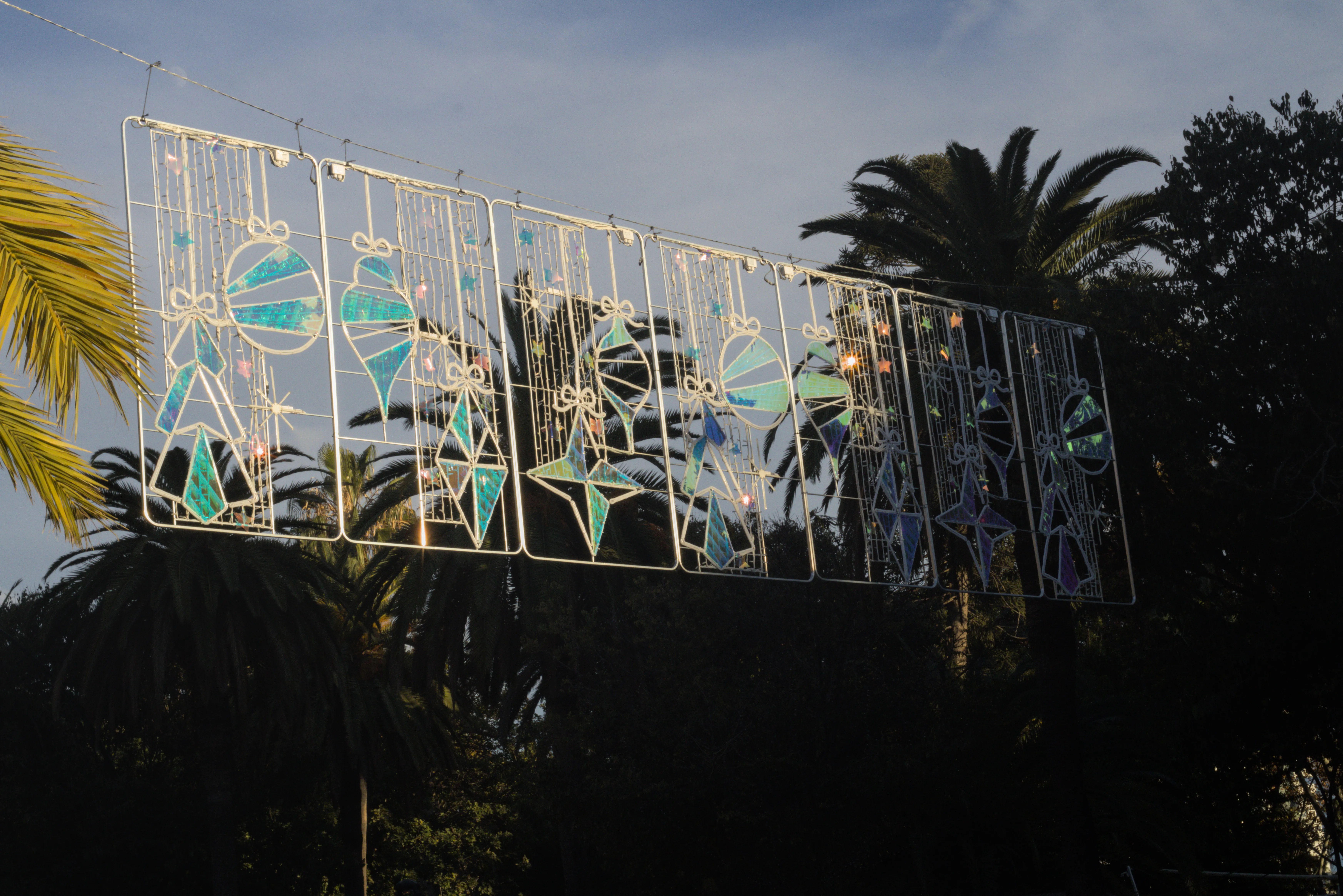 Meyer-Optik Görlitz Primagon 35mm f4.5 (M42) - _I4A7547.webp